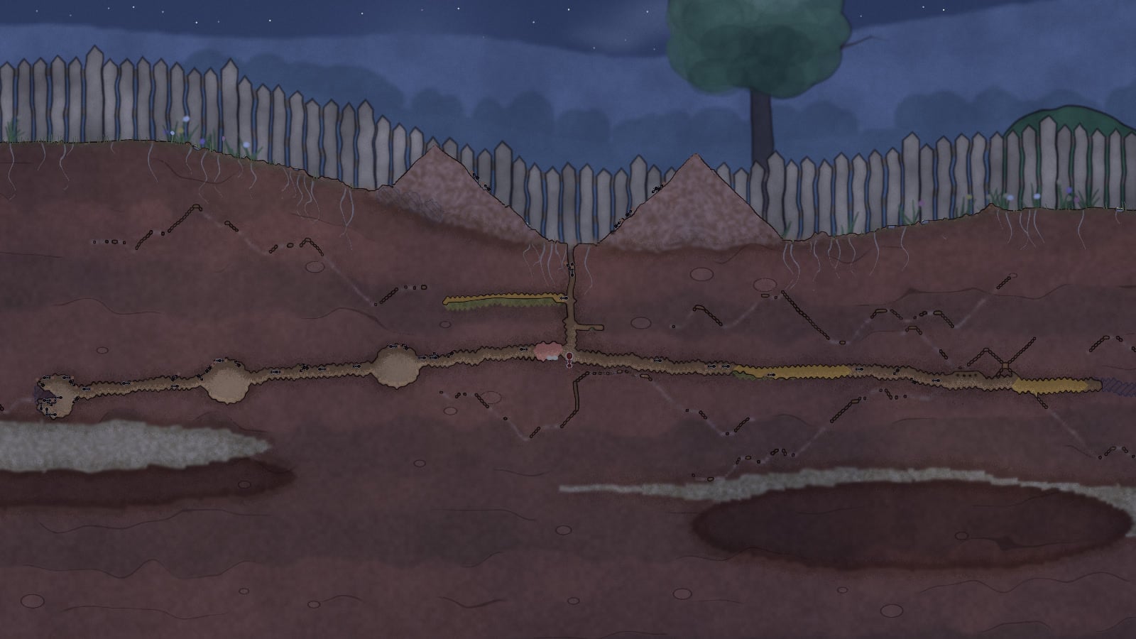 The same colony at night under a dark blue sky with stars. The soil is dim and no ants are out on the surface.